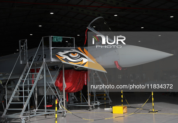 A Eurofighter of the Spanish Air and Space Force is in one of the hangars at Los Llanos airport during the Tactical Leadership Programme in...