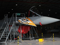 A Eurofighter of the Spanish Air and Space Force is in one of the hangars at Los Llanos airport during the Tactical Leadership Programme in...