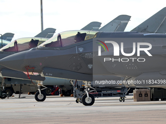 A Lockheed Martin F-35A Lightning II of the Italy Air Force parks at Los Llanos military air base during the Tactical Leadership Programme i...