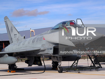 A Eurofighter EF-2000 Typhoon of the Italian Air Force is parked at Los Llanos airport during the Tactical Leadership Programme in Albacete,...