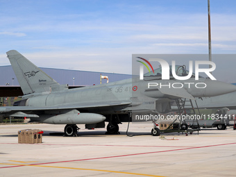 A Eurofighter EF-2000 Typhoon of the Italian Air Force is parked at Los Llanos airport during the Tactical Leadership Programme in Albacete,...