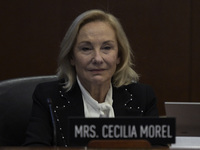 Former Chilean President Sebastian Pinera's wife, Cecilia Morel, and OAS Secretary Luis Almagro pay tribute during an OAS regular meeting in...