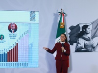 Mexico's President Claudia Sheinbaum speaks during a briefing conference to announce that, as of January 1, 2025, the minimum salary increas...