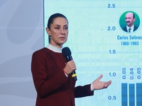 Mexico's President Claudia Sheinbaum speaks during a briefing conference to announce that, as of January 1, 2025, the minimum salary increas...