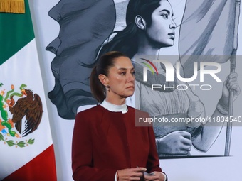 Mexico's President Claudia Sheinbaum speaks during a briefing conference to announce that, as of January 1, 2025, the minimum salary increas...