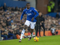 Abdoulaye Doucoure #16 of Everton F.C. participates in the Premier League match between Everton and Wolverhampton Wanderers at Goodison Park...