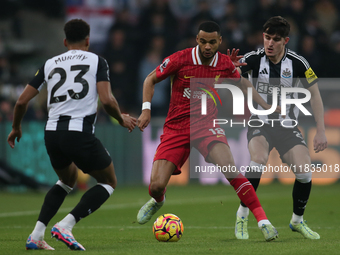 Liverpool's Cody Gakpo takes on Newcastle United's Tino Livramento during the Premier League match between Newcastle United and Liverpool at...