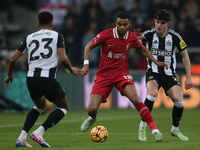 Liverpool's Cody Gakpo takes on Newcastle United's Tino Livramento during the Premier League match between Newcastle United and Liverpool at...