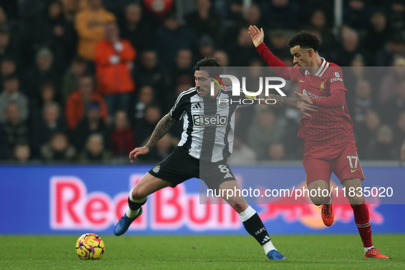 Sandro Tonali of Newcastle United holds off Curtis Jones of Liverpool during the Premier League match between Newcastle United and Liverpool...