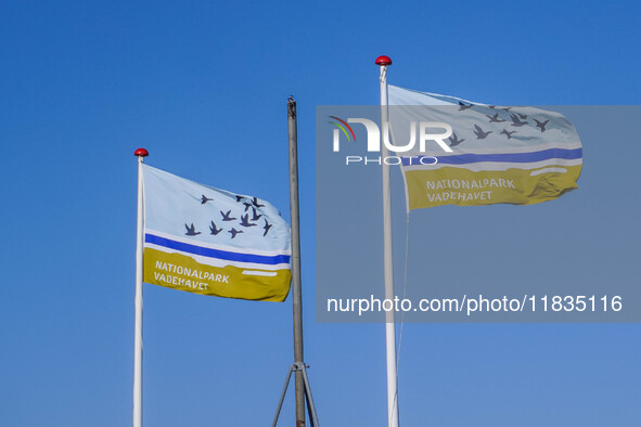 Flags of Wadden Sea National Park are seen in Nordby, Fano Island, Denmark, on April 29, 2024. 