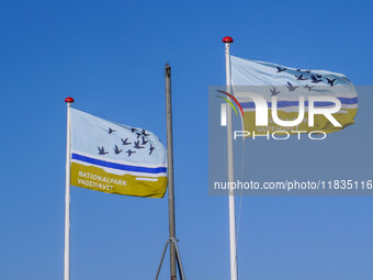 Flags of Wadden Sea National Park are seen in Nordby, Fano Island, Denmark, on April 29, 2024. (