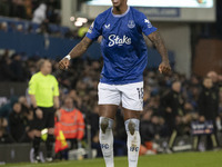 Ashley Young #18 of Everton F.C. celebrates his goal during the Premier League match between Everton and Wolverhampton Wanderers at Goodison...