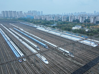 In Nanjing, China, on December 5, 2024, a photo shows EMU trains at Nanjing Bullet Train Station in East China's Jiangsu province. (