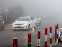 Cars travel in heavy fog with visibility of less than 100 meters on a street in Hua County, Anyang, China, on December 5, 2024. (