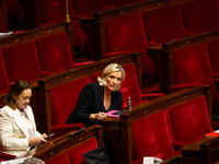 Marine Le Pen, President of the Rassemblement National group, is seen during the session of examination of the report of the 2024 end-of-yea...