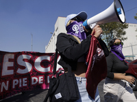 Feminist collectives outside the Reclusorio Oriente in Mexico City, Mexico, on December 4, 2024, accompany victims of sexual and digital vio...