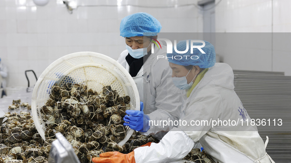 Workers process crabs for export to South Korea at a production workshop of an aquatic food company in Suqian, Jiangsu province, China, on D...