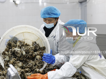 Workers process crabs for export to South Korea at a production workshop of an aquatic food company in Suqian, Jiangsu province, China, on D...