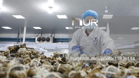 A worker processes crabs for export to South Korea at a production workshop of an aquatic food company in Suqian, Jiangsu province, China, o...