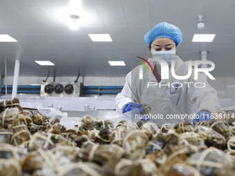 A worker processes crabs for export to South Korea at a production workshop of an aquatic food company in Suqian, Jiangsu province, China, o...