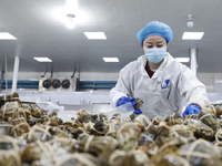 A worker processes crabs for export to South Korea at a production workshop of an aquatic food company in Suqian, Jiangsu province, China, o...