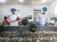 Workers process crabs for export to South Korea at a production workshop of an aquatic food company in Suqian, Jiangsu province, China, on D...