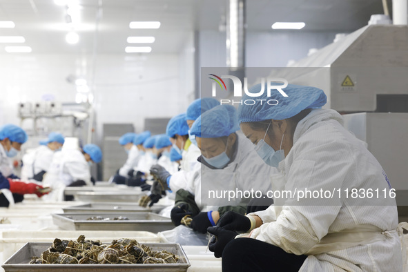 Workers process crabs for export to South Korea at a production workshop of an aquatic food company in Suqian, Jiangsu province, China, on D...