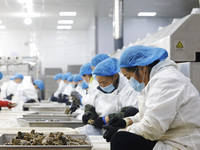 Workers process crabs for export to South Korea at a production workshop of an aquatic food company in Suqian, Jiangsu province, China, on D...