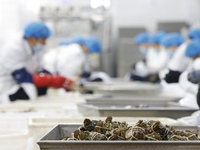 Workers process crabs for export to South Korea at a production workshop of an aquatic food company in Suqian, Jiangsu province, China, on D...