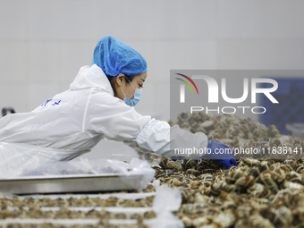 A worker processes crabs for export to South Korea at a production workshop of an aquatic food company in Suqian, Jiangsu province, China, o...