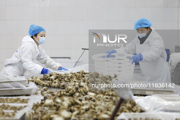 Workers process crabs for export to South Korea at a production workshop of an aquatic food company in Suqian, Jiangsu province, China, on D...