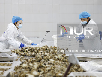 Workers process crabs for export to South Korea at a production workshop of an aquatic food company in Suqian, Jiangsu province, China, on D...