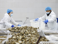 Workers process crabs for export to South Korea at a production workshop of an aquatic food company in Suqian, Jiangsu province, China, on D...