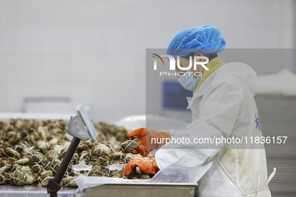 A worker processes crabs for export to South Korea at a production workshop of an aquatic food company in Suqian, Jiangsu province, China, o...