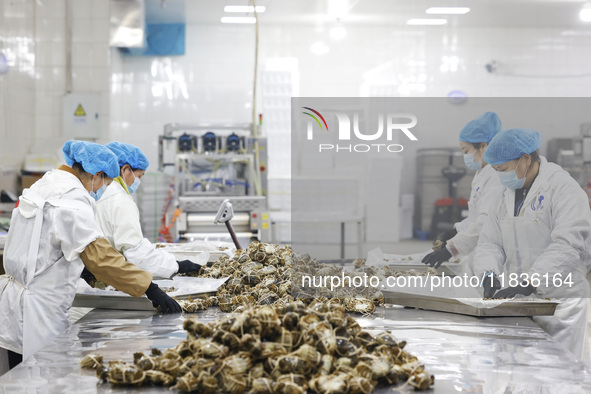 Workers process crabs for export to South Korea at a production workshop of an aquatic food company in Suqian, Jiangsu province, China, on D...