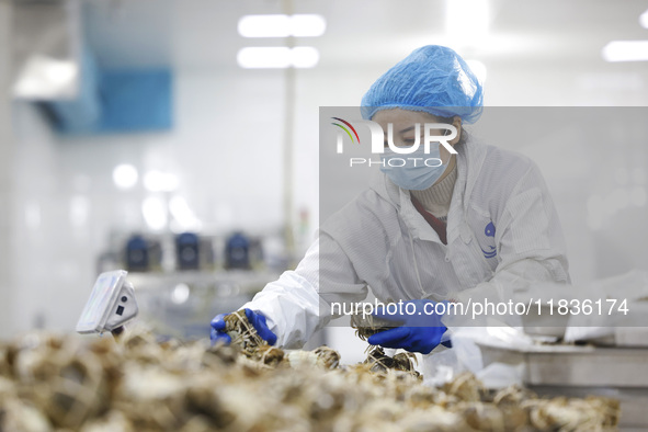 A worker processes crabs for export to South Korea at a production workshop of an aquatic food company in Suqian, Jiangsu province, China, o...