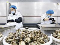 Workers process crabs for export to South Korea at a production workshop of an aquatic food company in Suqian, Jiangsu province, China, on D...