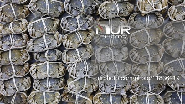 Workers process crabs for export to South Korea at a production workshop of an aquatic food company in Suqian, Jiangsu province, China, on D...