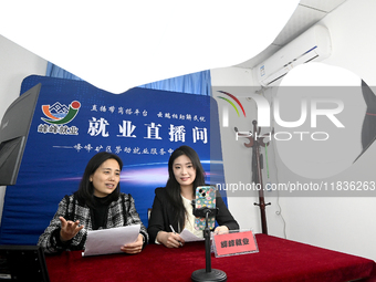 A photo taken in Handan, China, on December 4, 2024, shows an employer's recruitment information in an online broadcast room in North China'...