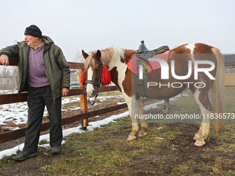 A worker stands by a Hutsul pony, also known as a Hucul pony or Carpathian pony, at the Hutsulyk Hutsul Pony Centre at the Hutsulshchyna Nat...