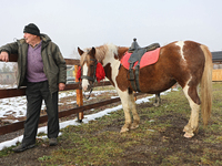 A worker stands by a Hutsul pony, also known as a Hucul pony or Carpathian pony, at the Hutsulyk Hutsul Pony Centre at the Hutsulshchyna Nat...