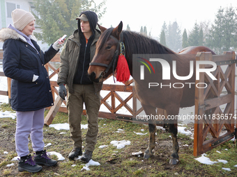 In Kosiv, Ukraine, on December 2, 2024, a worker speaks to a journalist about the Hutsul pony, also known as the Hucul pony or Carpathian po...