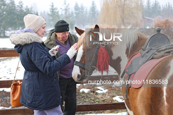 In Kosiv, Ukraine, on December 2, 2024, a worker speaks to a journalist about the Hutsul pony, also known as the Hucul pony or Carpathian po...