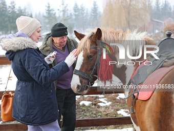 In Kosiv, Ukraine, on December 2, 2024, a worker speaks to a journalist about the Hutsul pony, also known as the Hucul pony or Carpathian po...