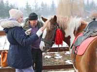 In Kosiv, Ukraine, on December 2, 2024, a worker speaks to a journalist about the Hutsul pony, also known as the Hucul pony or Carpathian po...