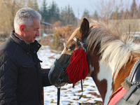 In Kosiv, Ukraine, on December 2, 2024, the Director of the Hutsulshchyna National Nature Park, Yurii Stefurak, pets a Hutsul pony, also kno...