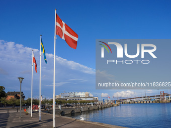 The Danish flag is seen in the wind at the port in Ystad, Sweden, on August 4, 2024. (