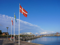 The Danish flag is seen in the wind at the port in Ystad, Sweden, on August 4, 2024. (