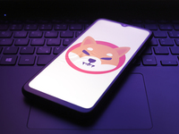 The Shiba Inu logo appears on the screen of a smartphone in Reno, United States, on December 5, 2024. (