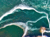 A photo taken on December 5, 2024, shows migrating birds at Qiandao Lake in Hohhot, Inner Mongolia, China. (